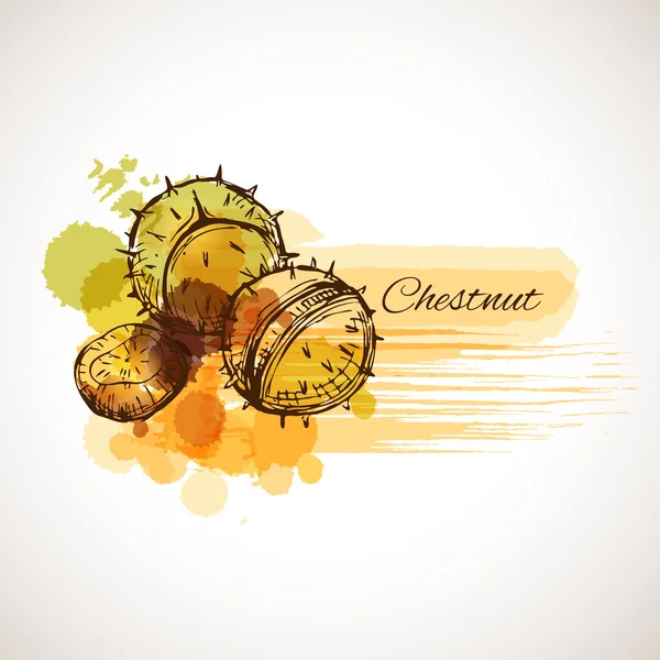 Chestnut label spot — Stock Vector