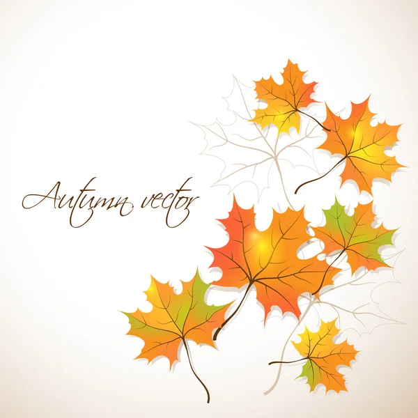 Podzimní pozadí s pomerančové listí — Stockový vektor