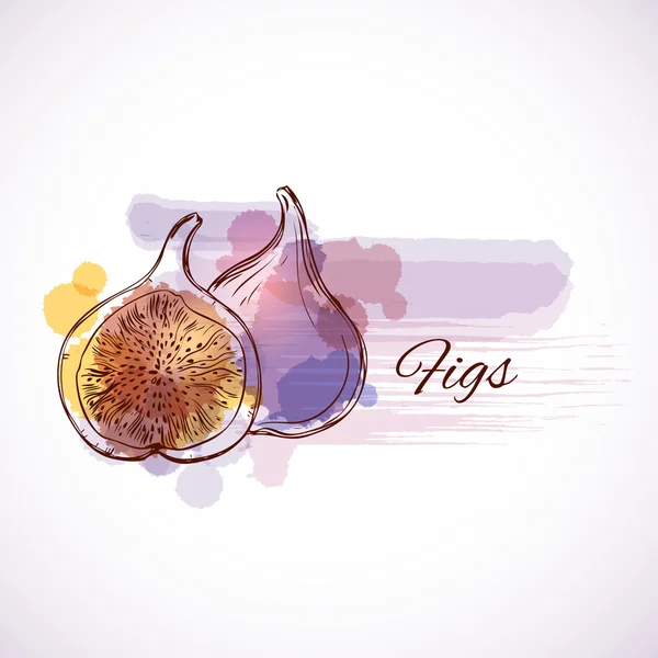 Frutos de figos - rótulo — Vetor de Stock
