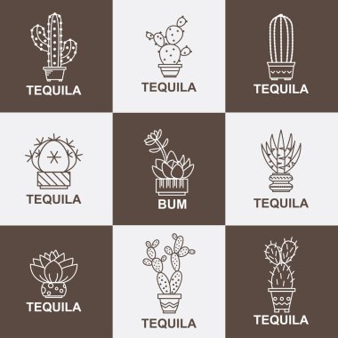 Çizgi film kaktüsler kümesi