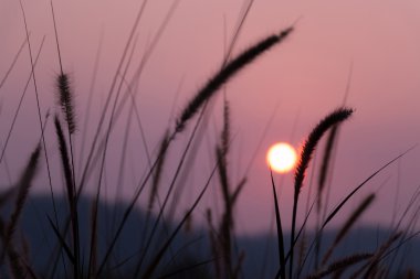 Tepede gün batımı