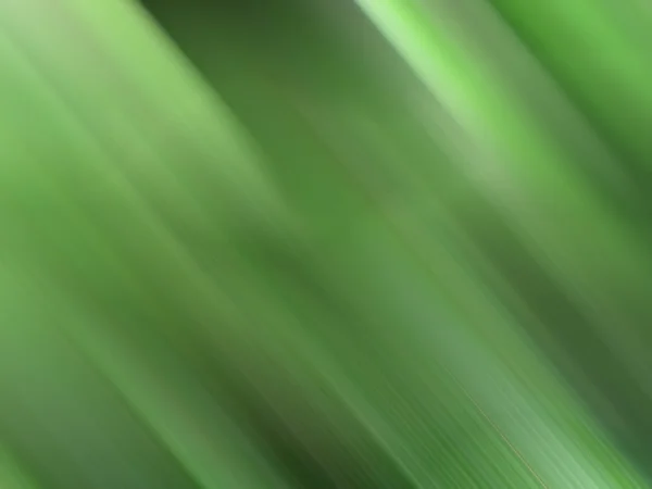 Abstract green gradient background. — Stock Photo, Image