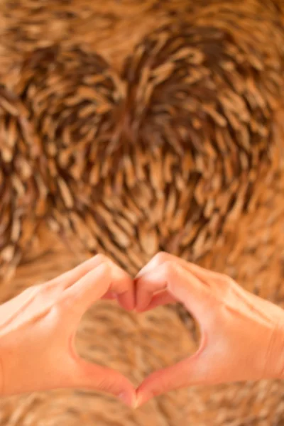 Hands in the shape of heart — Stock Photo, Image