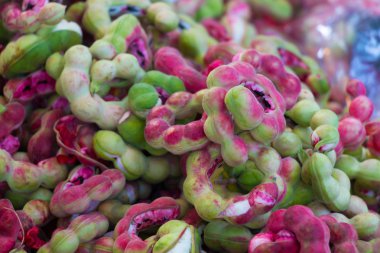 Taze Manila demirhindi