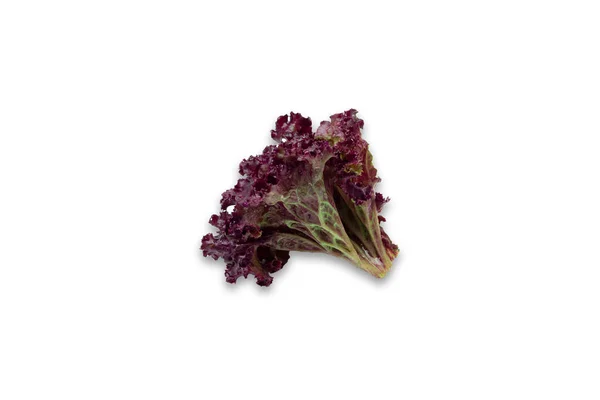Frash, roter Salat auf weißem Hintergrund. — Stockfoto