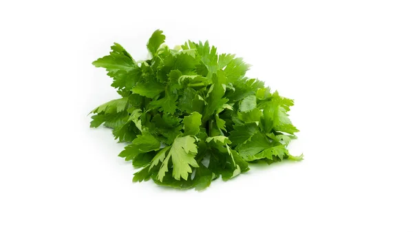 Greenery. Sprigs of parsley on a white background. Macro photo. — Stock Photo, Image