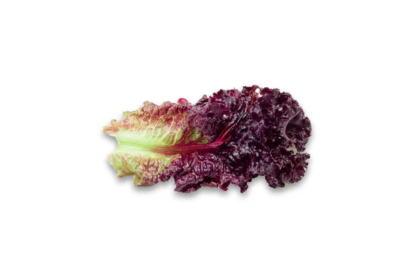 Frash, красный салат на белом фоне. — стоковое фото