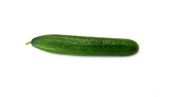 Fresh whole cucumber. Close up. Isolated on white background. — Stock Photo, Image
