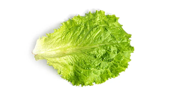 Hoja de lechuga sobre fondo blanco — Foto de Stock