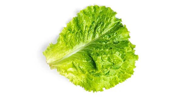 Hoja de lechuga sobre fondo blanco — Foto de Stock