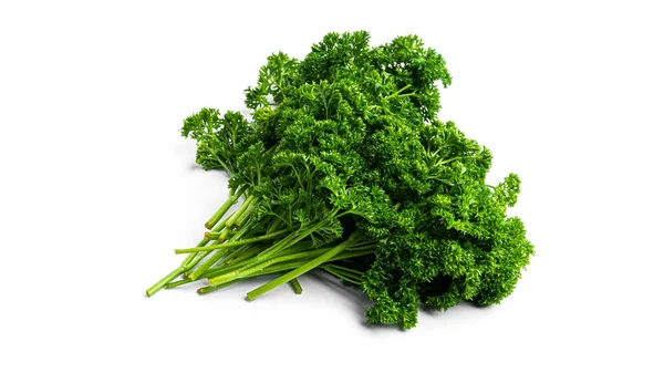 Greenery. Sprigs of curled parsley on a white background. Macro photo. — Stock Photo, Image