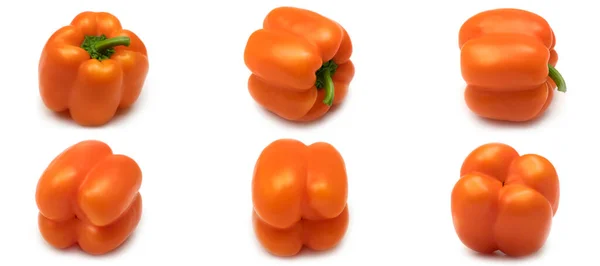 Oranje paprika op een witte achtergrond. — Stockfoto