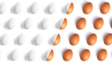 Beyaz arka planda tavuk yumurtası.