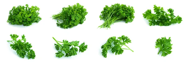 Greenery. Sprigs of curled parsley on a white background. Flying parsley. — Stock Photo, Image