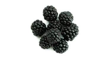 Beyaz arka planda taze böğürtlen. Yüksek kalite fotoğraf