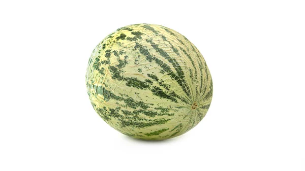 Striped Melon White Background Unusual Coloring Melon High Quality Photo — Stock Photo, Image