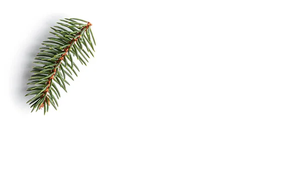 Christmas Tree Branches White Background High Quality Photo — Stock Photo, Image