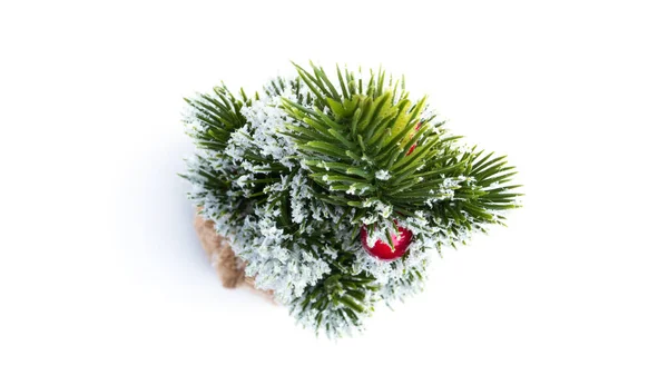 Christmas Fir Tree Mini Composition White Background High Quality Photo — Stock Photo, Image