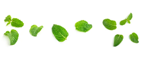 Hojas Menta Fresca Sobre Fondo Blanco Foto Alta Calidad — Foto de Stock