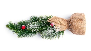  Beyaz arka planda Noel ağacı minnacık kompozisyonu. Yüksek kalite fotoğraf