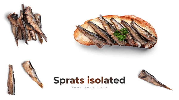 Sprats isolated on white background. — Stock Image Sprats isolated on white background. Stock Image