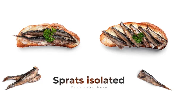 Sprats isolated on white background. — Stock Image Sprats isolated on white background. Royalty Free Stock Photos