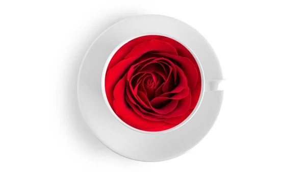 Red Rose White Cup Isolated White Background High Quality Photo — Stock Photo, Image