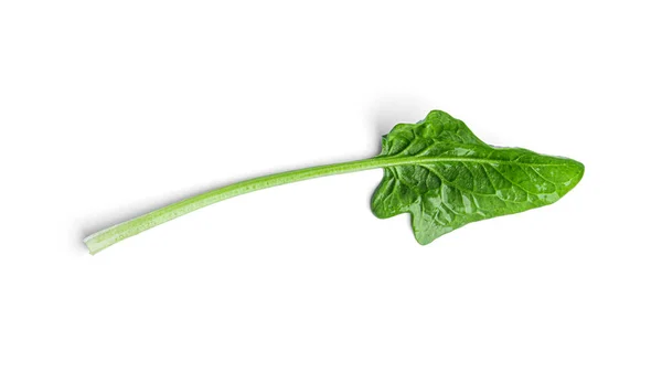 Fresh spinach on a white background — Stock Photo, Image