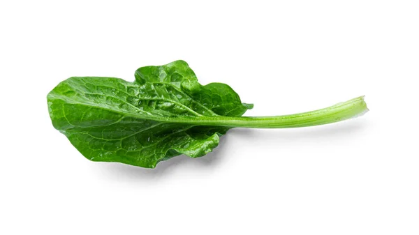 Fresh spinach on a white background — Stock Photo, Image