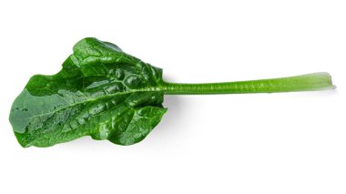 Beyaz arka planda taze ıspanak.