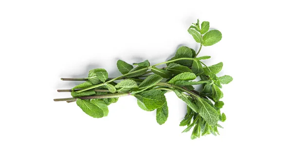 Hojas frescas de menta verde sobre un fondo blanco. — Foto de Stock