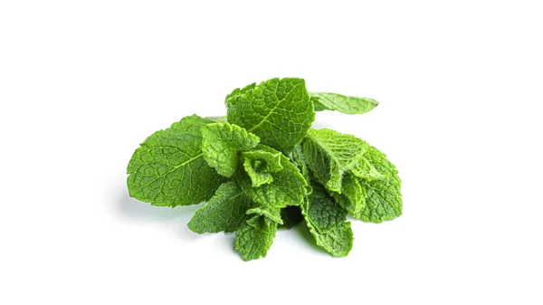 Hojas frescas de menta verde sobre un fondo blanco. — Foto de Stock