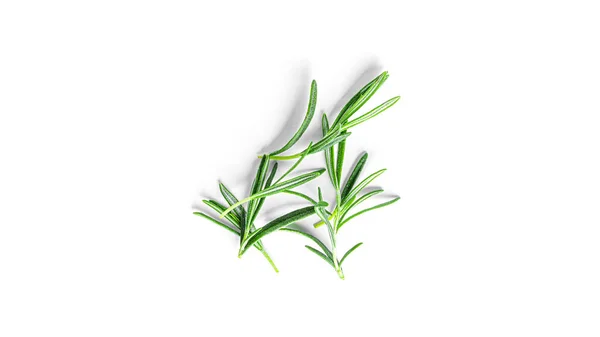 Rosemary isolated on white background. — Stock Photo, Image