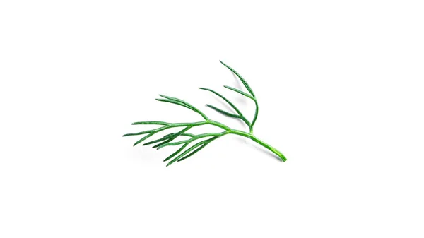 Dill isolated on a white background. — Stock Photo, Image