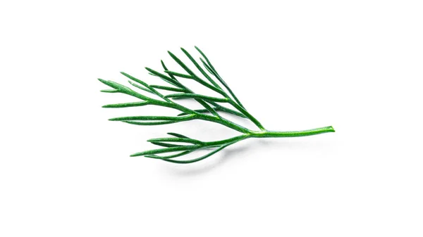 Dill isolated on a white background. — Stock Photo, Image