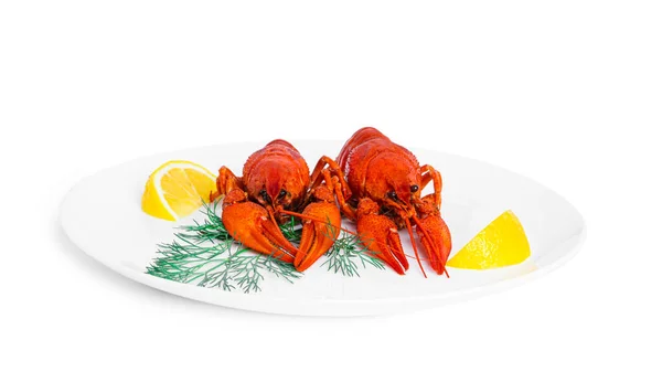 白盘上有小虾和柠檬的烤虾，背景是白色的. — 图库照片