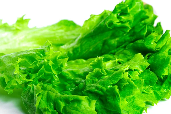 Hojas de lechuga aisladas sobre un fondo blanco. — Foto de Stock