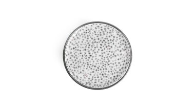 Chia pudingi beyaz arka planda izole edilmiş. Çok katmanlı sağlıklı tatlı. Chia mus..