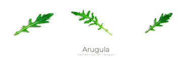 Beyaz arka planda Arugula. Arugula yapayalnız kalır..