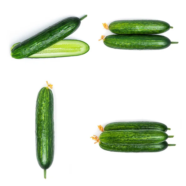 Fresh cucumbers on white background.High quality photo — Stock Photo, Image