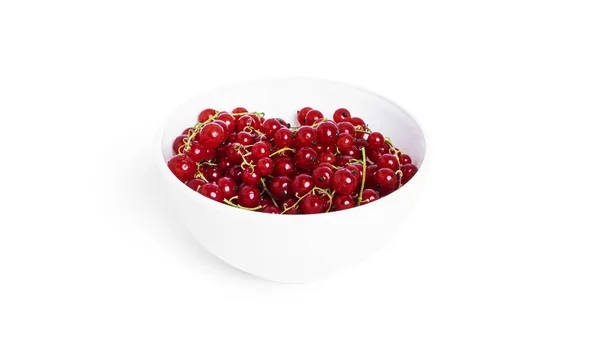 Kursor merah diisolasi dengan latar belakang putih. Berries terisolasi. — Stok Foto