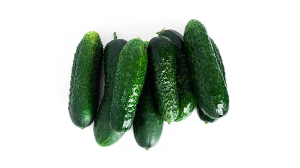 Cucumber isolated on white background. Cucumbers isolated. — Stock Photo, Image