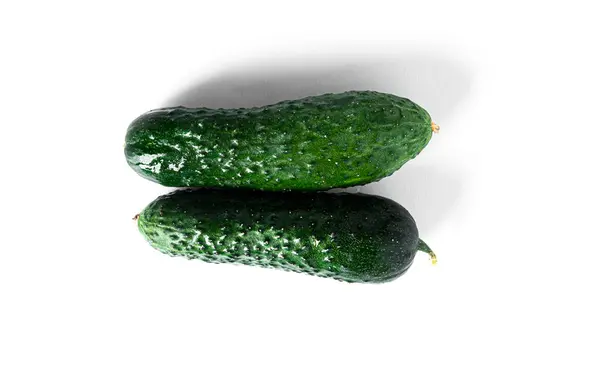 Pepino aislado sobre fondo blanco. Pepinos aislados. — Foto de Stock