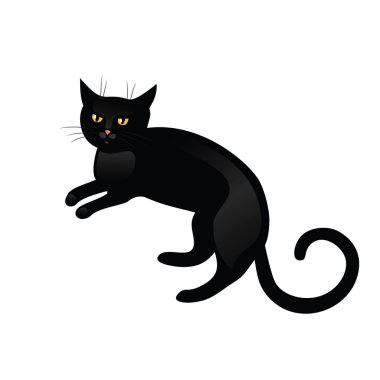 Siyah kedi beyaz arka planda izole edilmiş.