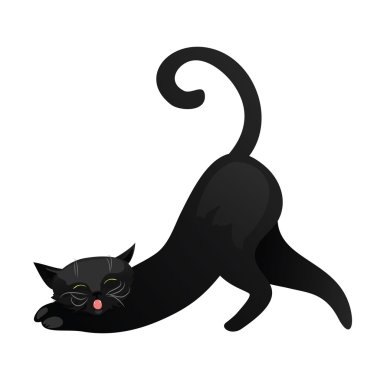 Siyah kedi beyaz arka planda izole edilmiş.