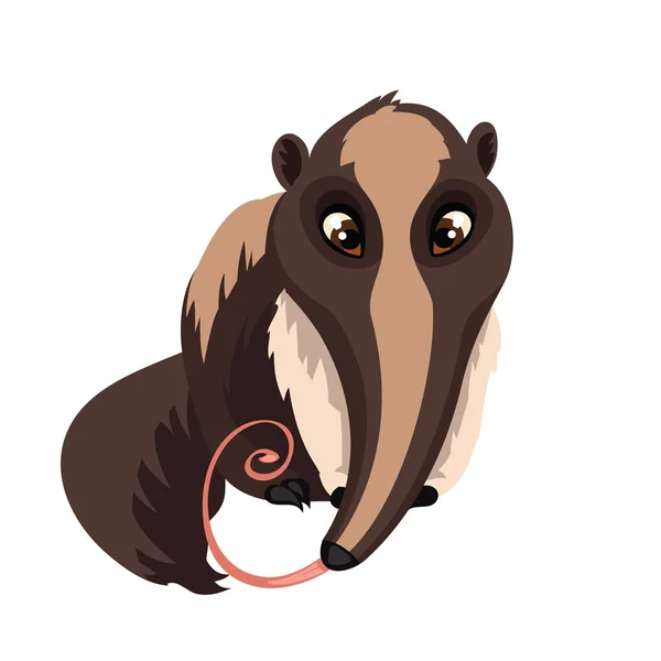 Anteater geïsoleerd op witte achtergrond. — Stockvector