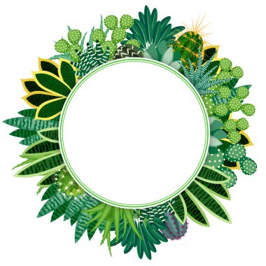 Kaktüs ve succulents.