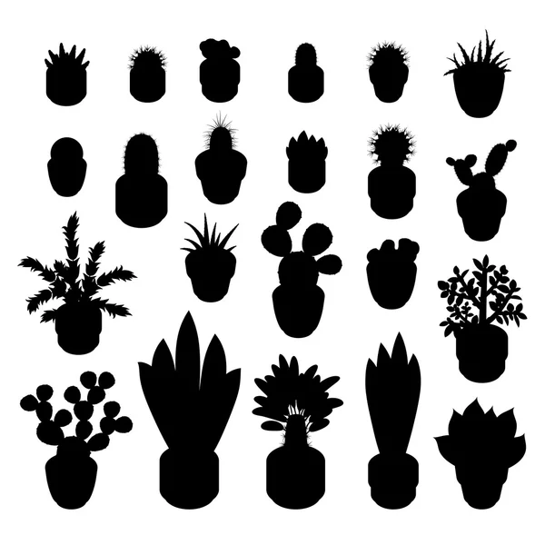 Silhouetten van cactussen en vetplanten. — Stockvector