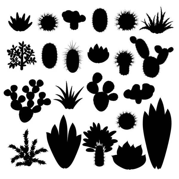 Silhouetten van cactussen en vetplanten. — Stockvector