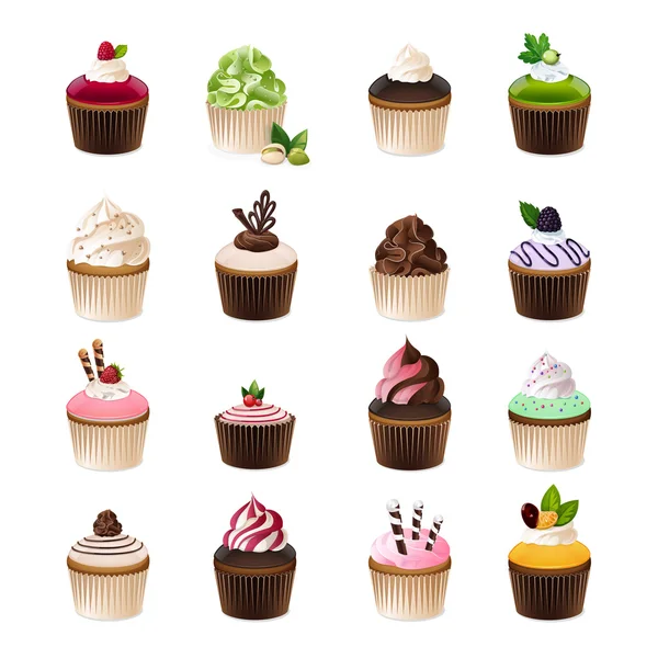Cupcakes isolated on white background. — Stock Vector